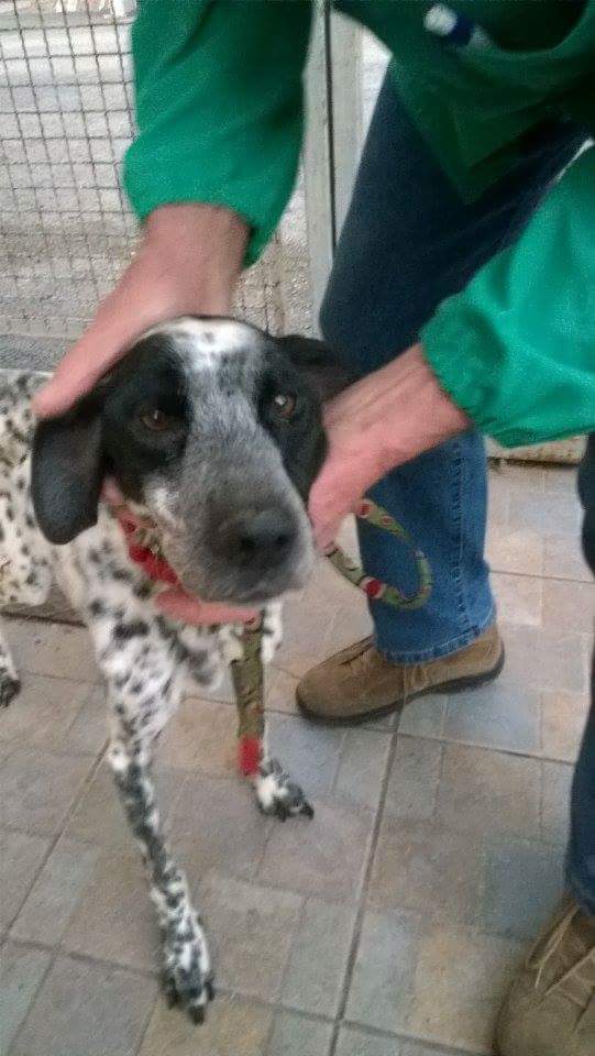 12734218_10208856131621979_4713912081903813844_n