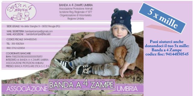 923228_249745258496692_842834814_n