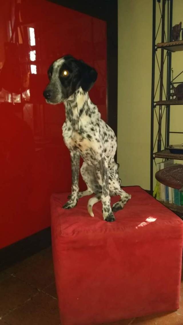 11872140_10209014264935213_4771070825524833785_o